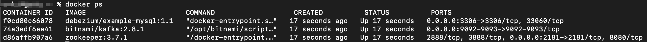 Executing docker ps command